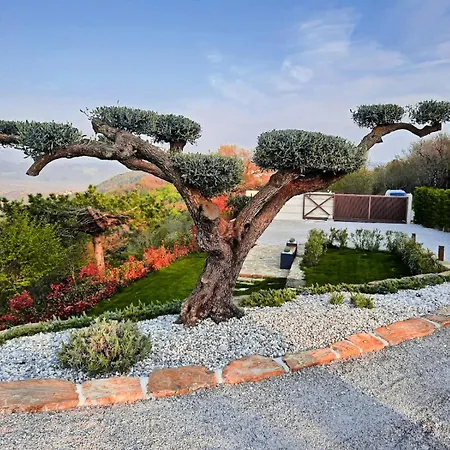 Casa Elevata